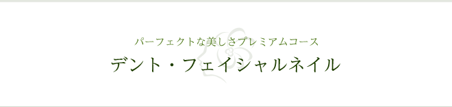 パーフェクトな美しさプレミアムコース デント・フェイシャル＆ネイル