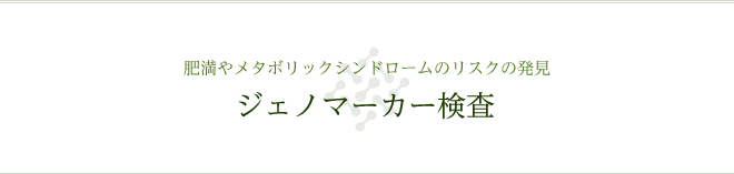 肥満やメタボリックシンドロームのリスクの発見 ジェノマーカー検査