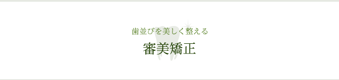 歯並びを美しく整える 審美矯正