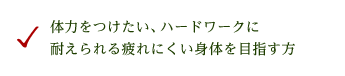 体力をつけたい、ハードワークに耐えられる疲れにくい身体を目指す方