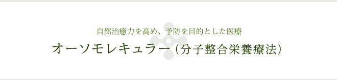 自然治癒力を高め、予防を目的とした医療 オーソモレキュラー（分子整合栄養療法）