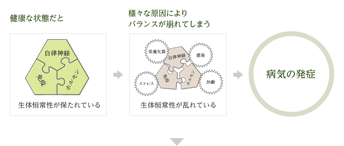 【健康な状態だと】生体恒常性が保たれている⇒【様々な原因によりバランスが崩れてしまう】生体恒常性が乱れている⇒病気の発症⇓