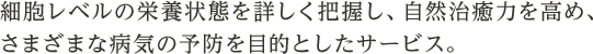 細胞レベルの栄養状態を詳しく把握し、自然治癒力を高め、さまざまな病気の予防を目的としたサービス。